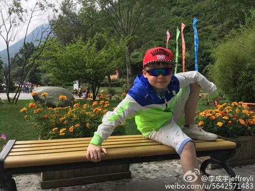 李成宇个人资料,才华横溢的年轻艺术家，探索艺术与生活的完美融合