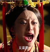 政治芈月表情包